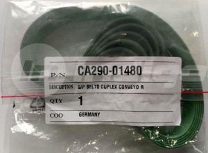 Duplex Conveyor Belts