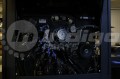 _MG_5911.JPG